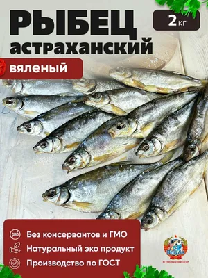 Рыбец вяленый - Океан Камчатка Сахалин - Рыба и морепродукты