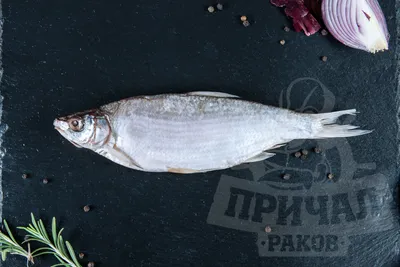 Рыба. Рыбец купить на Зозу.ру