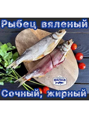 Купить Рыбец вяленый в Москве за 1 100 .руб/ кг – БиоМаркет Икрянка