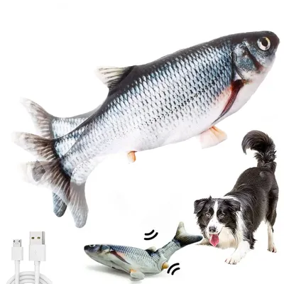 Гончая Собака Рыба — стоковые фотографии и другие картинки 2015 - 2015,  Глаз животного, Горизонтальный - iStock