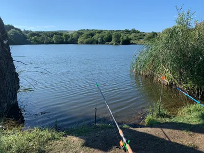 Рыбалка в Астрахани недорого | Рыбалка в ВЕРХНЕЛЕБЯЖЬЕ FISH RESORT на Волге