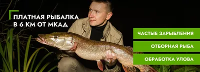 КАРТИНКИ ПРО РЫБАЛКУ