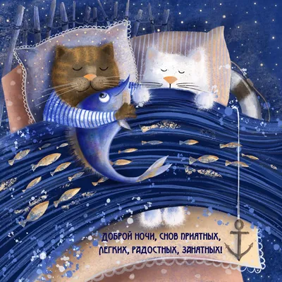 Спокойной ночи - новые красивые картинки (85 ФОТО) | Спокойной ночи, Ночь,  Смешные открытки