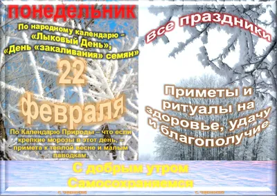 22 февраля, день начала Ледяного похода Белой армии, День защитника  Отечества — Спутник и Погром