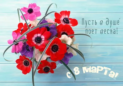 С 8 Марта! Красивые картинки и весенние стихи для россиянок | Курьер.Среда  | Дзен