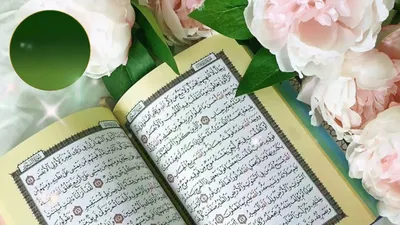 С благословенной Пятницей Вас 🤲💚🕊️ | TikTok