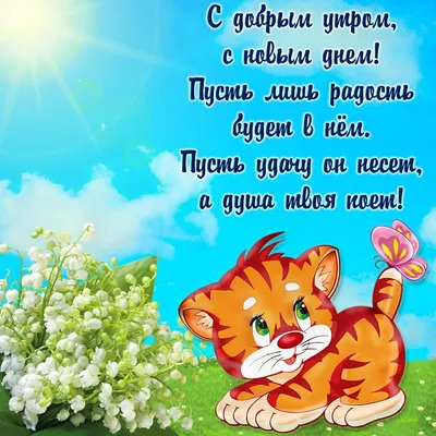 С добрым утром!#видеооткрытка #открыткасдобрымутром#открытка #рекоменд... |  TikTok