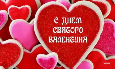 https://msk.palich.ru/news/torty_i_pirozhnye_ko_dnyu_svyatogo_valentina_ot_palycha/