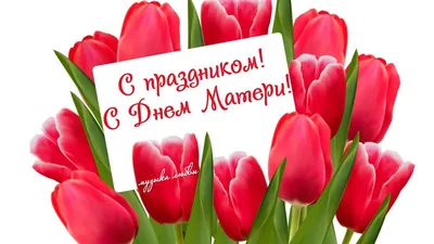 Поздравление с Днем матери! – Администрация Карагинского района