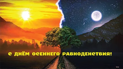 День осеннего равноденствия 🍁Начало астрономической осени. 🍁В этом году  наступит 23 сентября в.. | ВКонтакте