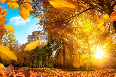 День осеннего равноденствия 2023: какого числа праздник в сентябре, приметы  и традиции