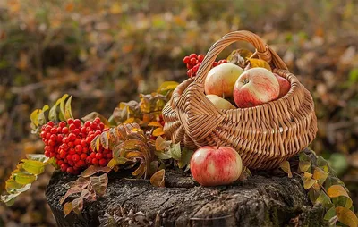 День осеннего равноденствия 2023: какого числа праздник в сентябре, приметы  и традиции