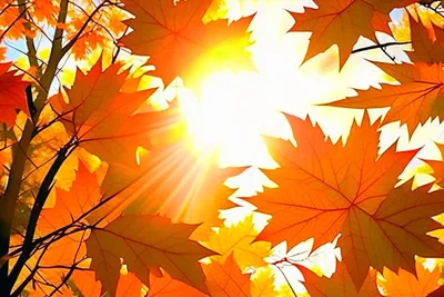 С Днем осеннего равноденствия 💖 Пожелания Бабье Лето💕 с Добрым Утром  Осень - YouTube
