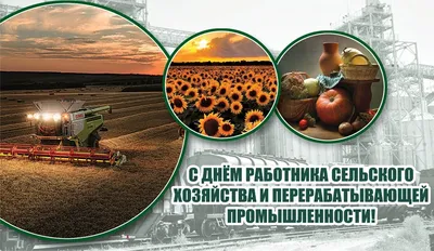 Поздравляем с днем работников сельского хозяйства и перерабатывающей  промышленности!