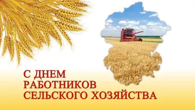 Поздравление с Днем работников сельского хозяйства и перерабатывающей  промышленности! | Администрация Муромского района