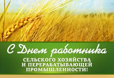 С днем работников сельского хозяйства и перерабатывающей промышленности! -  Союз органического земледелия