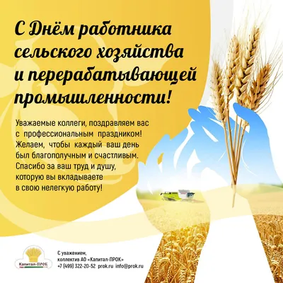 11 октября – День работника сельского хозяйства | 10.10.2020 | Новости  Сортавалы - БезФормата