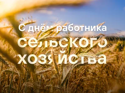 УП \"Глубокский мясокомбинат\" поздравляет с Днём работника сельского  хозяйства и перерабатывающей промышленности! - Глубокский мясокомбинат