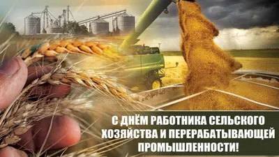 День работников сельского хозяйства, 8 октября: картинки и открытки к  празднику - МК Волгоград