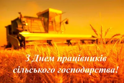 21 ноября – День работников сельского хозяйства и перерабатывающей  промышленности АПК