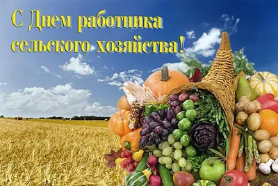 Поздравление с Днем работников сельского хозяйства и перерабатывающей  промышленности агропромышленного комплекса | MogilevNews | Новости Могилева  и Могилевской области