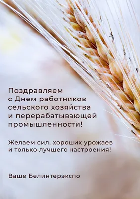 Поздравление с Днем работников сельского хозяйства / Новости / Официальный  сайт администрации Городского округа Шатура