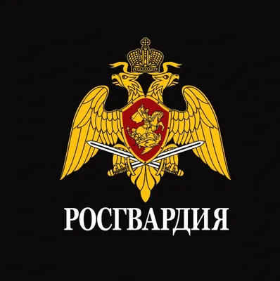День соединений и воинских частей Росгвардии по охране важных  государственных объектов и специальных грузов - Праздник