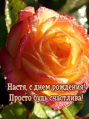 ЦСО Щербинский - Анастасия Владимировна, поздравляем вас с Днём Рождения!🥳  ⠀ Желаем вам всегда оставаться на высоте, быть всеми любимой, чтобы в жизни  не было забот, а вокруг были только искренние и