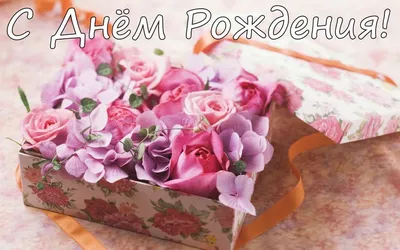 Давайте поздравим поваренка Анечку (honey-day) с Днем рождения.: Группа Дни  Рождения Поварят