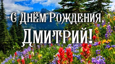 Открытки и прикольные картинки с днем рождения для Дмитрия и Димы