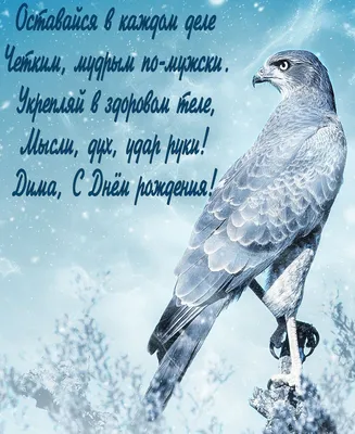 С Днем рождения, Дима!🎂 Сегодня свое 24-летие празднует защитник «зубров»  Дмитрий Дерябин! Желаем крепкого здоровья, больших успехов по… | Instagram