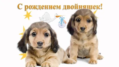 С днем рождения! #двойняшкам | TikTok