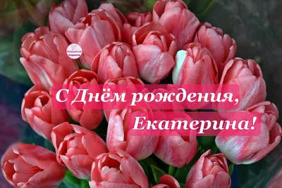 Открытки и картинки С Днём Рождения, Екатерина Сергеевна!