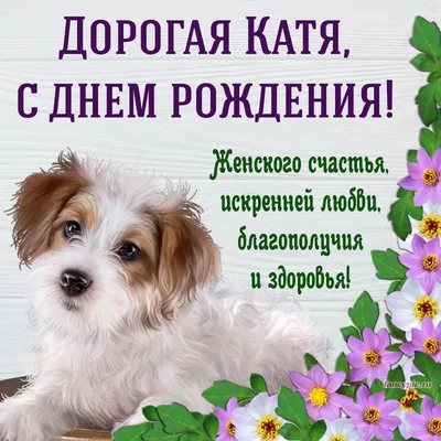 С днем рождения, Екатерина Владимировна! • БИПКРО