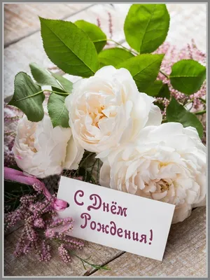 🎁 С Днем рождения, Екатерина! 2 июля свой день рождения празднует  начальник команды ЦСКА Екатерина Юрина. Мы поздравляем именинницу и… |  Instagram