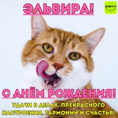 Открытки и картинки С Днём Рождения, Эльвира Витальевна!