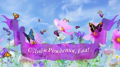 С днем рождения, EVA: 17 впечатляющих фактов о сети — Асоціація рітейлерів  України