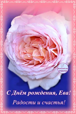 Красивые открытки с днем рождения ева - 71 фото