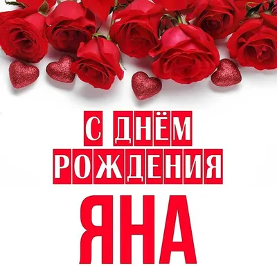 Знайка : День рождения