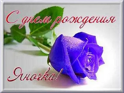 Прими поздравления с днем рождения,Яна! Пусть жизнь твоя будет, как радуга:  яркая и неожиданная! ~ Открытка (плейкаст)