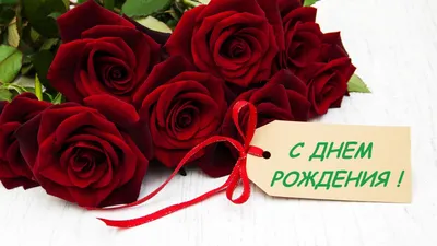 С днём рождения, Яна Паневина!