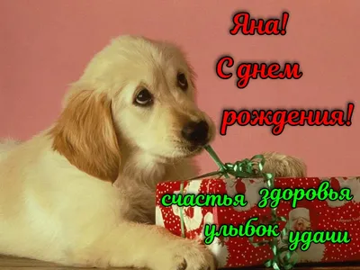 Открытки \"Яна, с Днем Рождения!\" (100+)