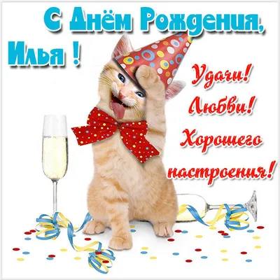 С Днем Рождения Илья! Поздравления С Днем Рождения Илье. С Днем Рождения  Илья Стихи - YouTube