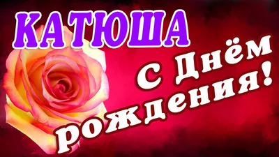 15 сиреневых и белых роз в коробке | купить недорого | доставка по Москве и  области
