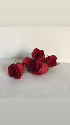 Картинка для милой Лианы с подарком и розами — скачать бесплатно
