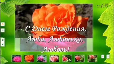 Открытка с днем рождения с приколом Это моя любовь к тебе веселая и милая -  купить с доставкой в интернет-магазине OZON (695754436)