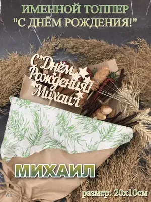 С Днем Рождения, Михаил Викторович!