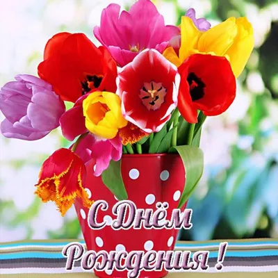 С днем рождения девушке - картинки, открытки и поздравления - Главред
