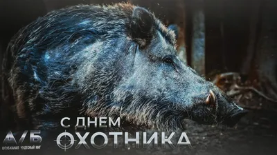 Открытки с днем рождения дяде — Slide-Life.ru