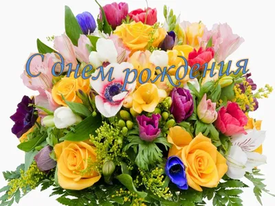 BIOSpro|Полиграфия|Отдел продаж on Instagram: \"🌸Ольга Николаевна!!!  Поздравляем Вас с днем рождения, Наш бухгалтер дорогой! Пусть прекрасные  мгновения В этот день бегут рекой. Пусть цветы, улыбки, радость Вам подарят  в этот час. Доброты,